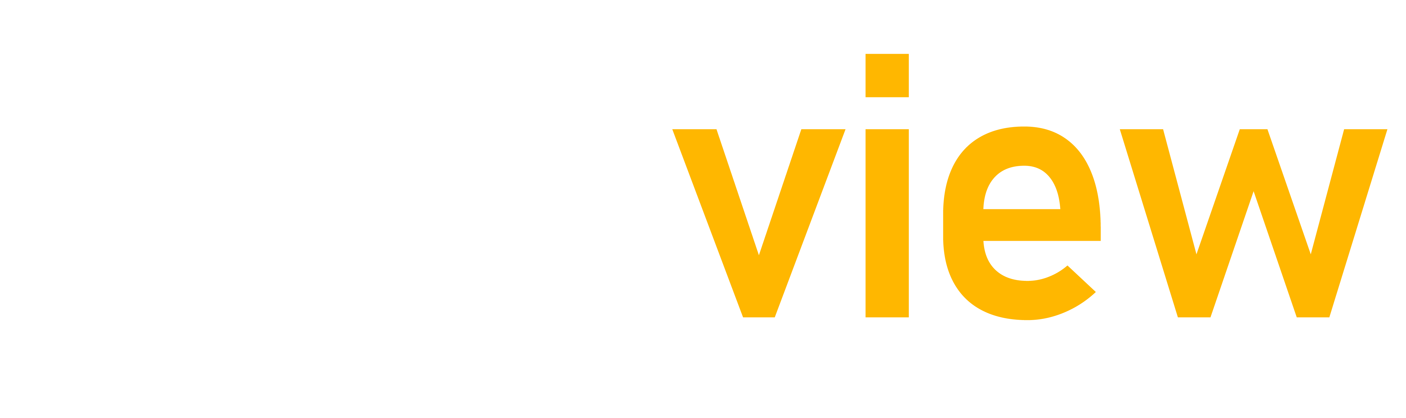 Totalview Logo